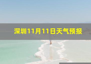 深圳11月11日天气预报