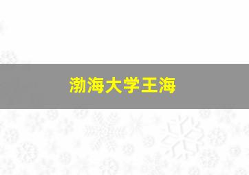 渤海大学王海