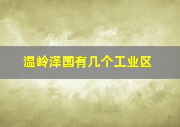 温岭泽国有几个工业区