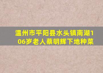 温州市平阳县水头镇南湖106岁老人蔡明辉下地种菜