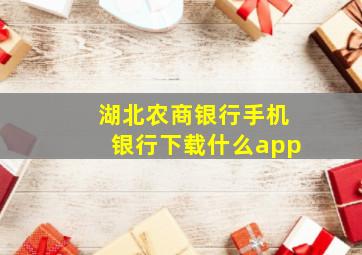 湖北农商银行手机银行下载什么app