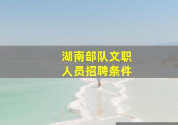 湖南部队文职人员招聘条件