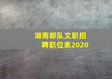 湖南部队文职招聘职位表2020