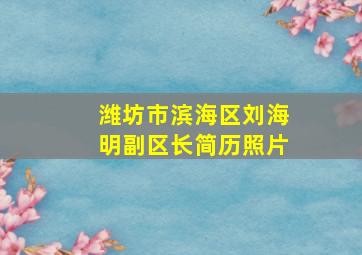 潍坊市滨海区刘海明副区长简历照片