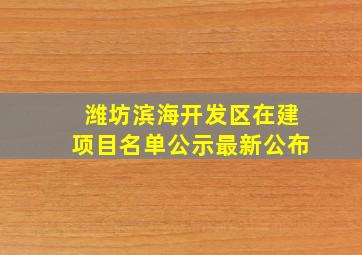 潍坊滨海开发区在建项目名单公示最新公布