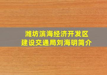 潍坊滨海经济开发区建设交通局刘海明简介