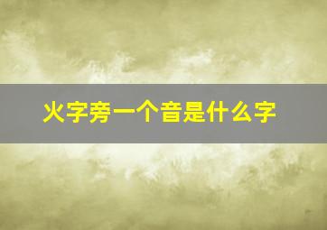 火字旁一个音是什么字