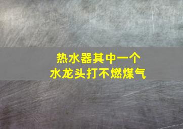 热水器其中一个水龙头打不燃煤气