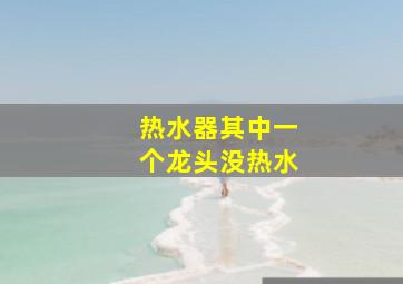 热水器其中一个龙头没热水