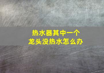 热水器其中一个龙头没热水怎么办