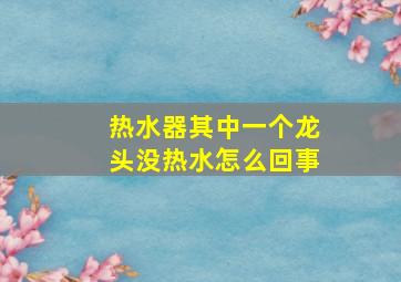 热水器其中一个龙头没热水怎么回事