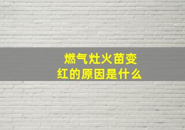 燃气灶火苗变红的原因是什么