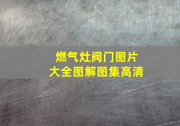 燃气灶阀门图片大全图解图集高清