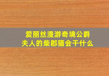 爱丽丝漫游奇境公爵夫人的柴郡猫会干什么