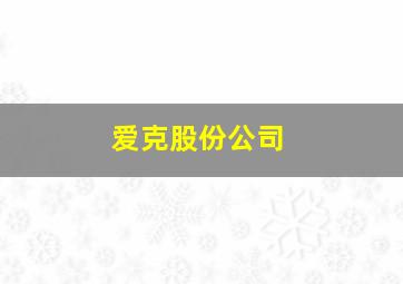 爱克股份公司