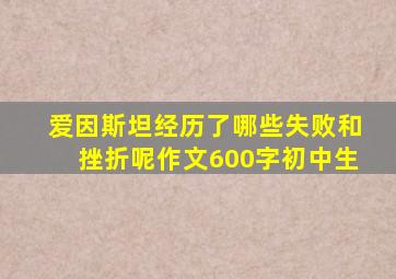 爱因斯坦经历了哪些失败和挫折呢作文600字初中生