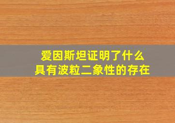 爱因斯坦证明了什么具有波粒二象性的存在