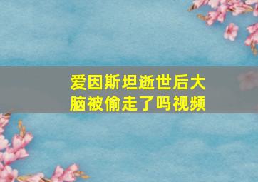 爱因斯坦逝世后大脑被偷走了吗视频