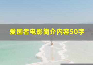 爱国者电影简介内容50字