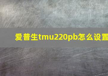 爱普生tmu220pb怎么设置