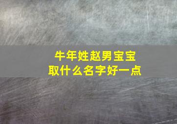 牛年姓赵男宝宝取什么名字好一点