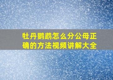 牡丹鹦鹉怎么分公母正确的方法视频讲解大全