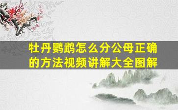 牡丹鹦鹉怎么分公母正确的方法视频讲解大全图解