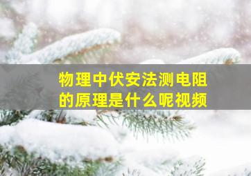 物理中伏安法测电阻的原理是什么呢视频