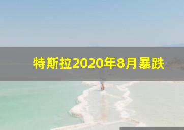 特斯拉2020年8月暴跌