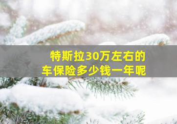 特斯拉30万左右的车保险多少钱一年呢