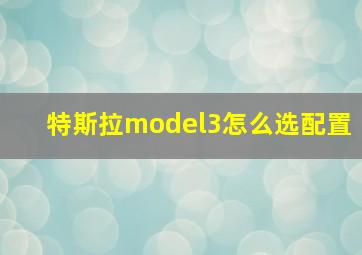 特斯拉model3怎么选配置