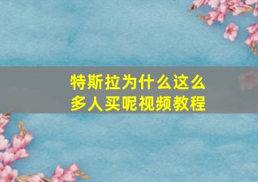 特斯拉为什么这么多人买呢视频教程