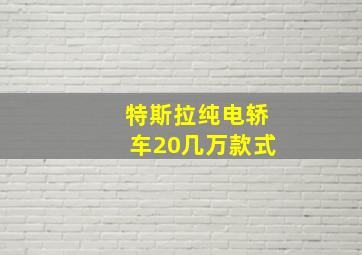 特斯拉纯电轿车20几万款式