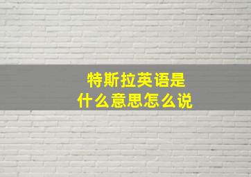 特斯拉英语是什么意思怎么说