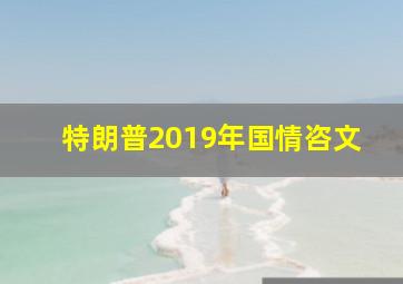 特朗普2019年国情咨文