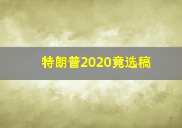 特朗普2020竞选稿