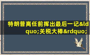 特朗普离任前挥出最后一记“关税大棒”