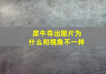 犀牛导出图片为什么和视角不一样