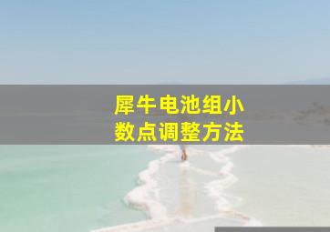 犀牛电池组小数点调整方法