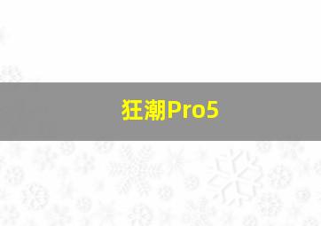 狂潮Pro5