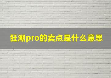 狂潮pro的卖点是什么意思