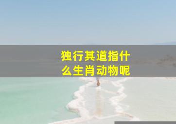 独行其道指什么生肖动物呢