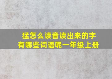 猛怎么读音读出来的字有哪些词语呢一年级上册