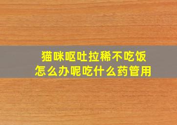 猫咪呕吐拉稀不吃饭怎么办呢吃什么药管用