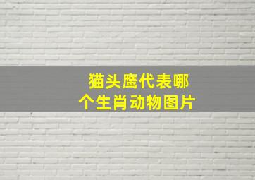 猫头鹰代表哪个生肖动物图片