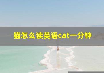 猫怎么读英语cat一分钟