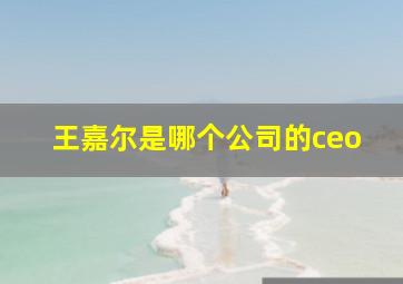 王嘉尔是哪个公司的ceo