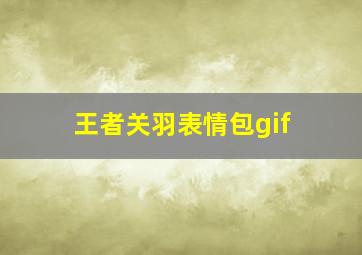 王者关羽表情包gif