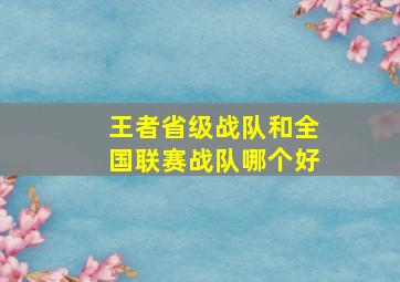 王者省级战队和全国联赛战队哪个好