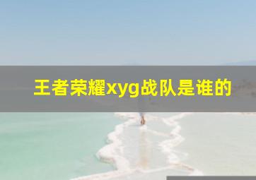 王者荣耀xyg战队是谁的